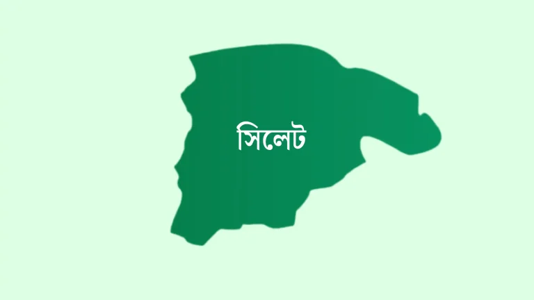 সিলেটে শ্যালিকার গোপন ভিডিও ধারণ করে ব্ল্যাকমেলের অভিযোগে কারাগারে দুলাভাই