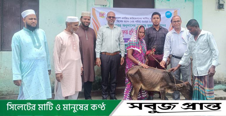 বাংলাদেশ এনজিও ফাউন্ডেশনের সহায়তায় জকিগঞ্জে বিনামূল্যে গাভী বিতরণ