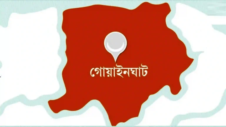 ‎গোয়াইনঘাটে নৌকা চুরির অভিযোগে যুবককে তুলে নিয়ে চোখ উপড়ে ফেলার অভিযোগ
