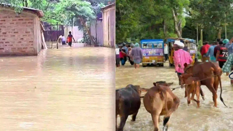 সিলেট বিভাগের চার জেলাতেই বাড়ছে নদ-নদীর পানি,বাঁধ ভেঙে প্লাবিত বিস্তীর্ণ এলাকা