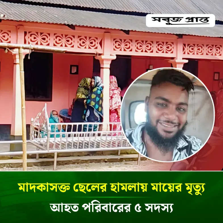 সিলেটে সম্পত্তি ও টাকার বিরোধে ছেলের হামলা, প্রাণ গেল মায়ের