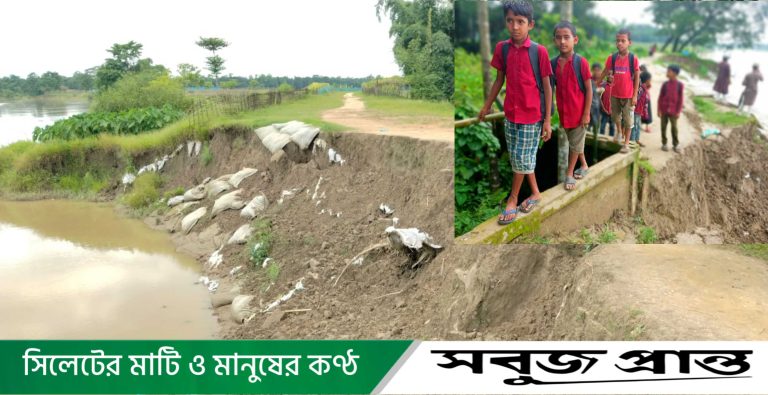 সুরমার ভাঙনে আতঙ্কে জকিগঞ্জের মানিকপুর : ঝুঁকিতে শতবর্ষী বিদ্যালয়, উদ্বেগে নদীপাড়ের মানুষ