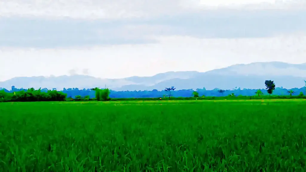 সবুজে মোড়া জকিগঞ্জের হাওর আর ওপারে ভারতের পাহাড়ের মিতালি