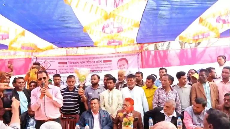 শ্রীপুর উত্তর ইউনিয়নে বিএনপির নির্বাচনী পথসভা অনুষ্ঠিত