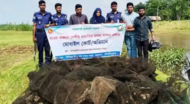 বড়লেখায় দেশীয় মাছ রক্ষায় ভ্রাম্যমাণ আদালতের অভিযান