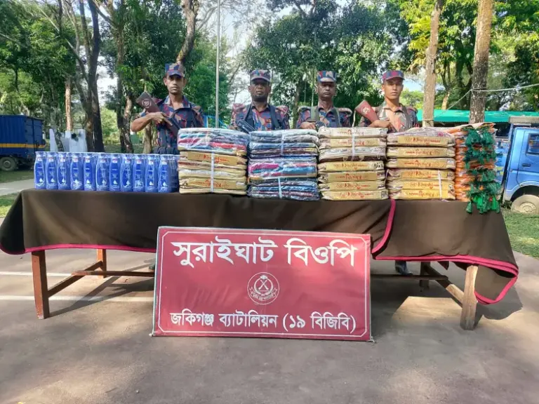 বিজিবির অভিযানে প্রায় ১৬ লাখ টাকার অবৈধ ভারতীয় পণ্য জব্দ