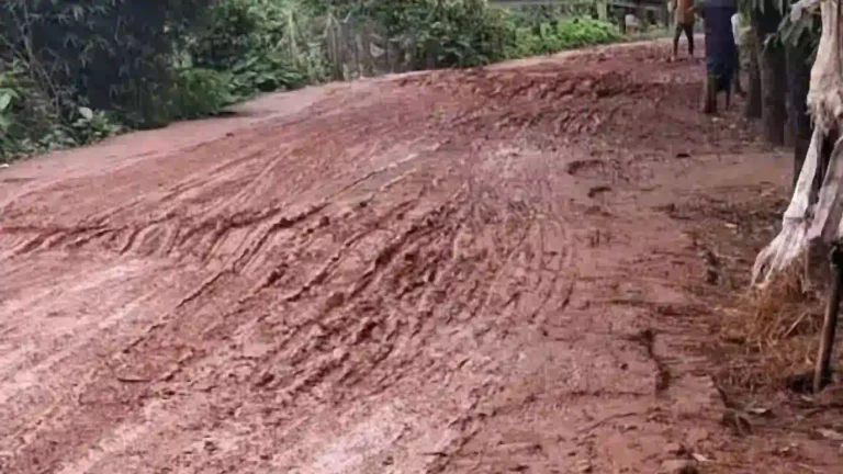 অবশেষে ৫৩ কোটি টাকায় মরণফাঁদ থেকে আধুনিক রূপ পাচ্ছে শেওলা-জকিগঞ্জ সড়ক