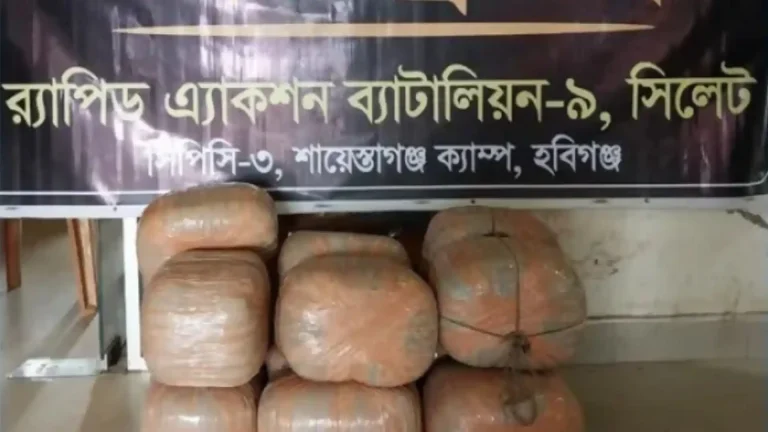 সিলেটে আম নামিয়ে ঢাকায় ফিরছিলেন গাঁজা নিয়ে, পথেই ধরা পড়লেন পিকআপ চালক